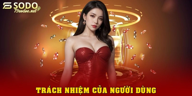 Trách nhiệm của người dùng