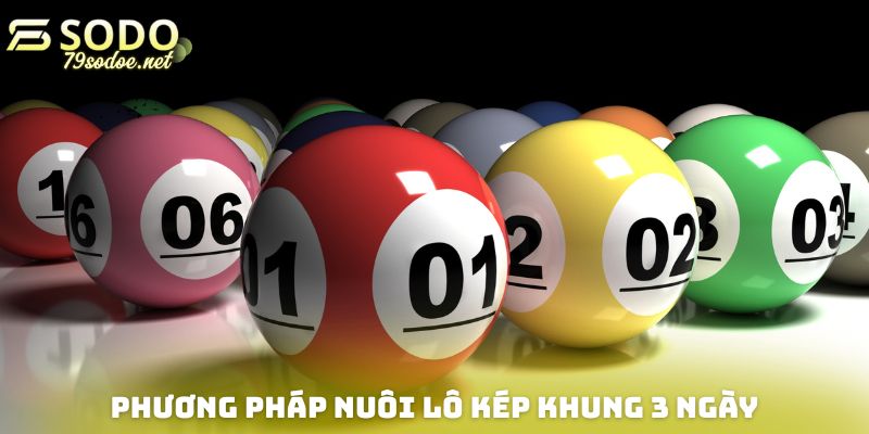 Những phương pháp nuôi lô kép khung 3 ngày hiệu quả hàng đầu